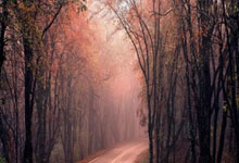 西汉姆联客场战胜狼队，升至中游位置