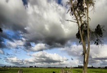 西汉姆联客场战胜狼队，升至中游位置