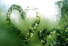 西汉姆联客场战胜狼队，升至中游位置