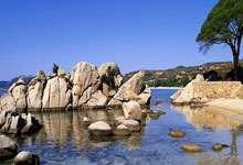 西汉姆联客场战胜狼队，升至中游位置