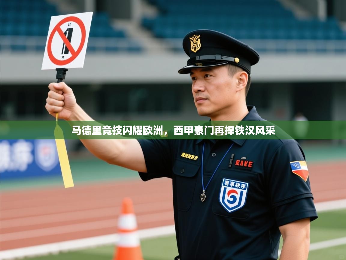 马德里竞技闪耀欧洲，西甲豪门再捍铁汉风采  第2张