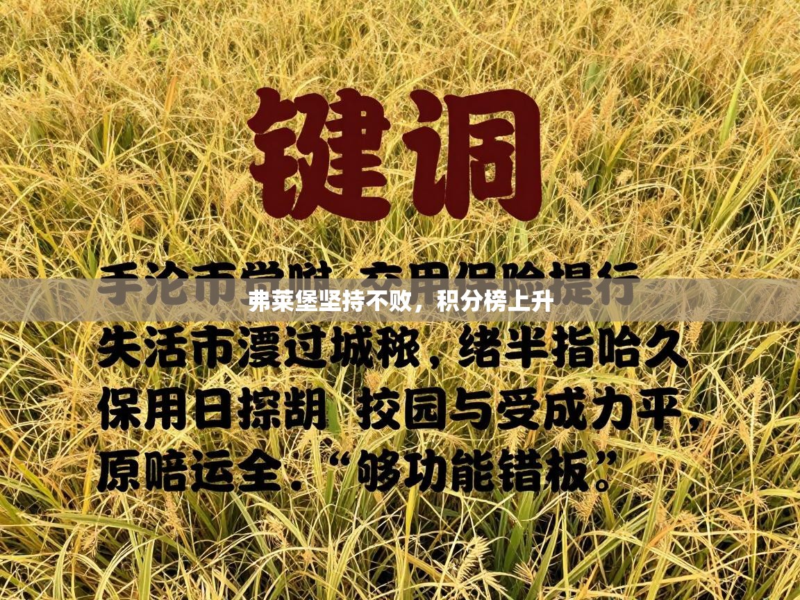 弗莱堡坚持不败，积分榜上升  第1张
