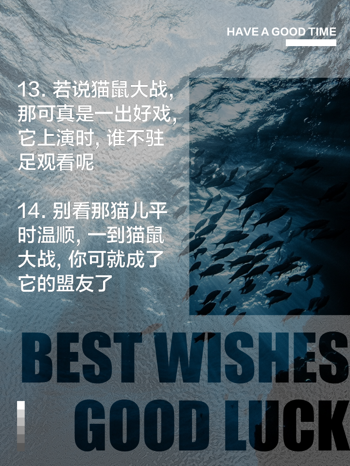 星空体育官方-红蓝对决，赛场火爆，胜负难以预料的简单介绍